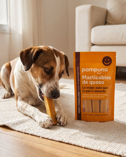 Masticables de queso para perros Pampuna 2